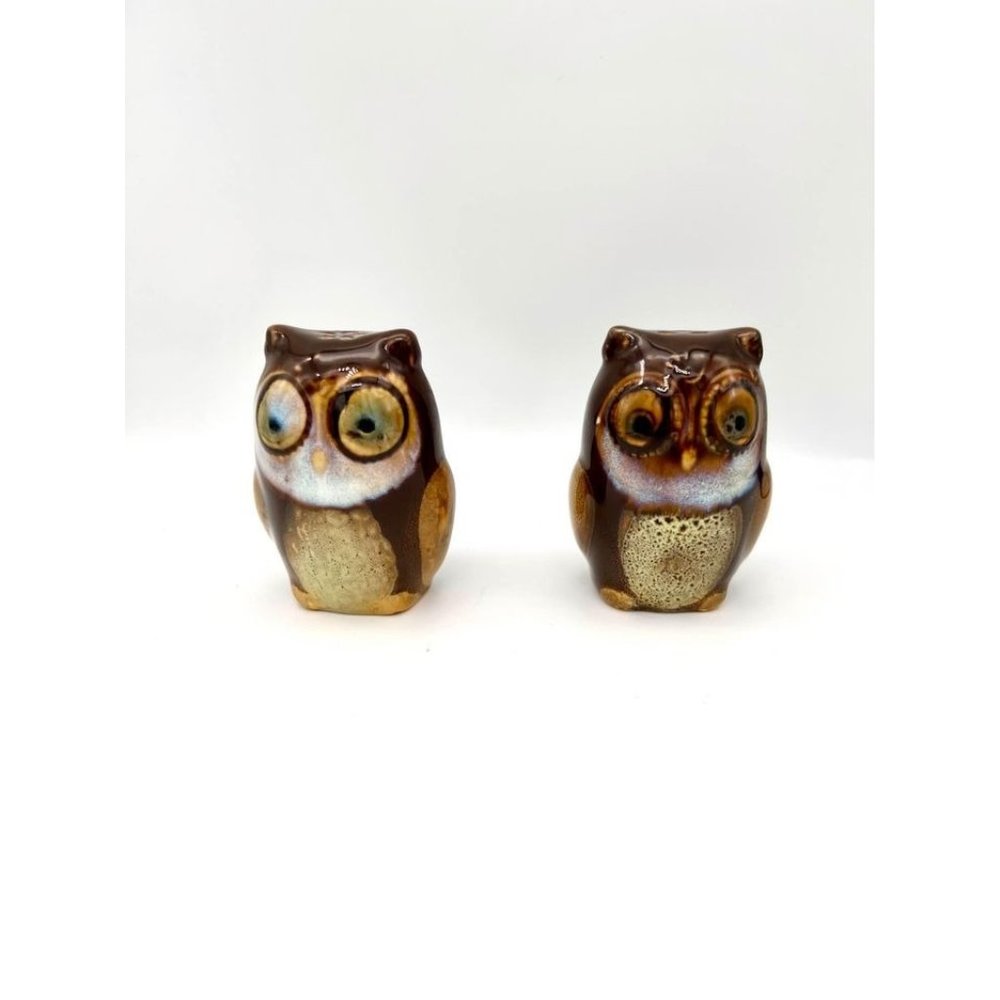 Hand Painted Glazed Ceramic Owl Salt And Pepper Shakers Quirky Derpy